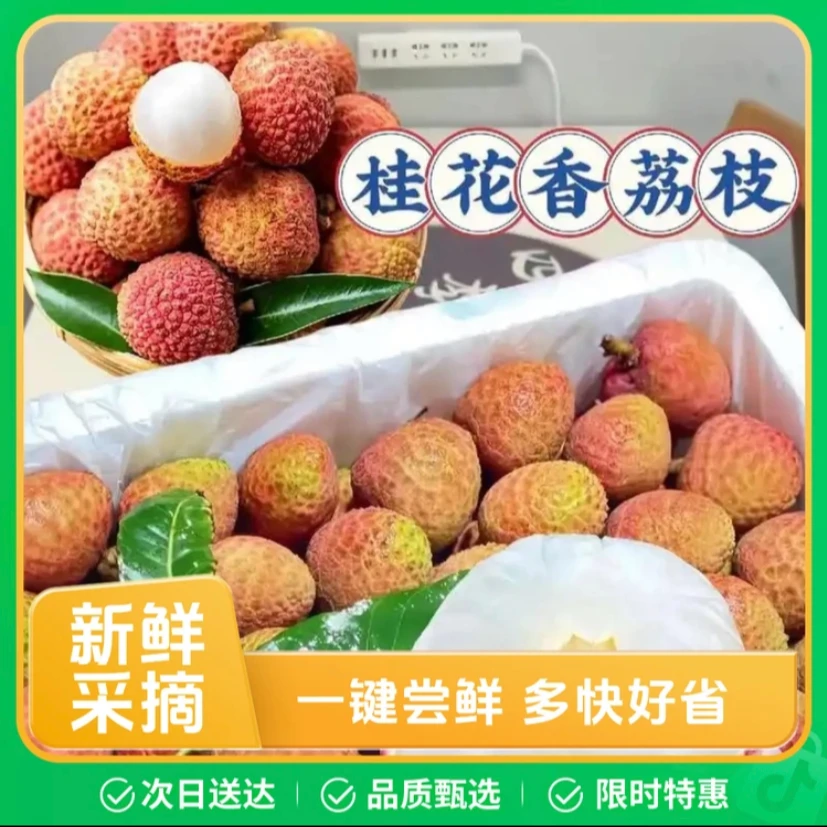 【次日达】海南头茬桂花香荔枝(1斤-2斤)/箱 酸甜可口 现采现摘 应季水果 顺丰冷链海南省