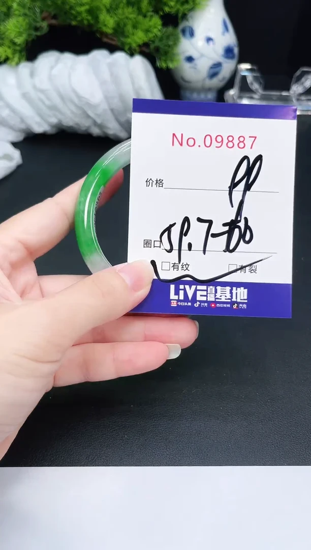 未镶嵌手镯翡翠9887