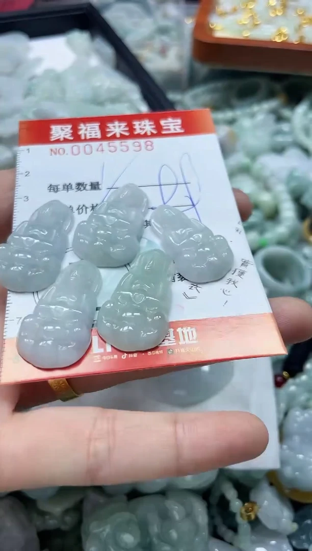 【闪购商品】翡翠颈饰未镶嵌闪购0045598多样性发其一