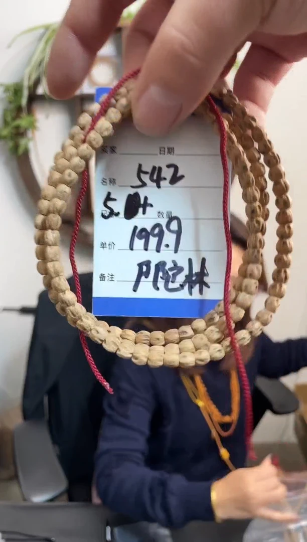 手串柏香籽/百香籽542尸陀林