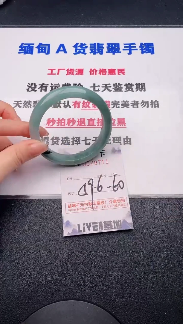 未镶嵌手镯翡翠11