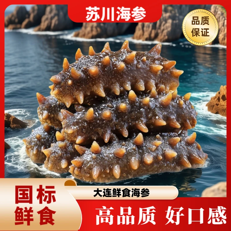 【国标海参】帝王海参 营养滋补 口感劲道 解冻即食 6只装