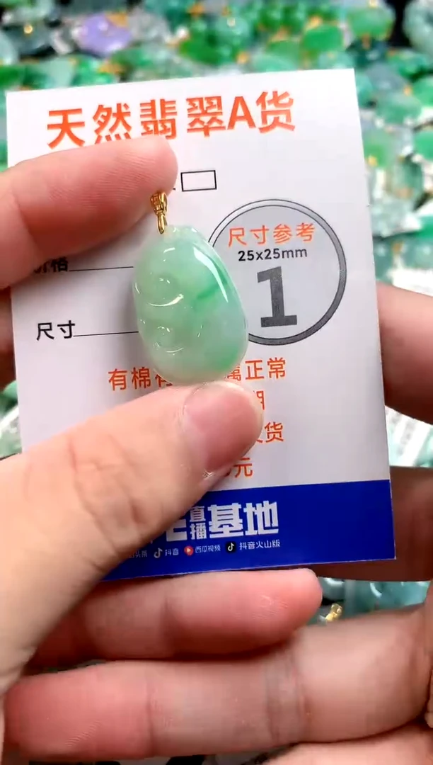 颈饰未镶嵌翡翠13006248