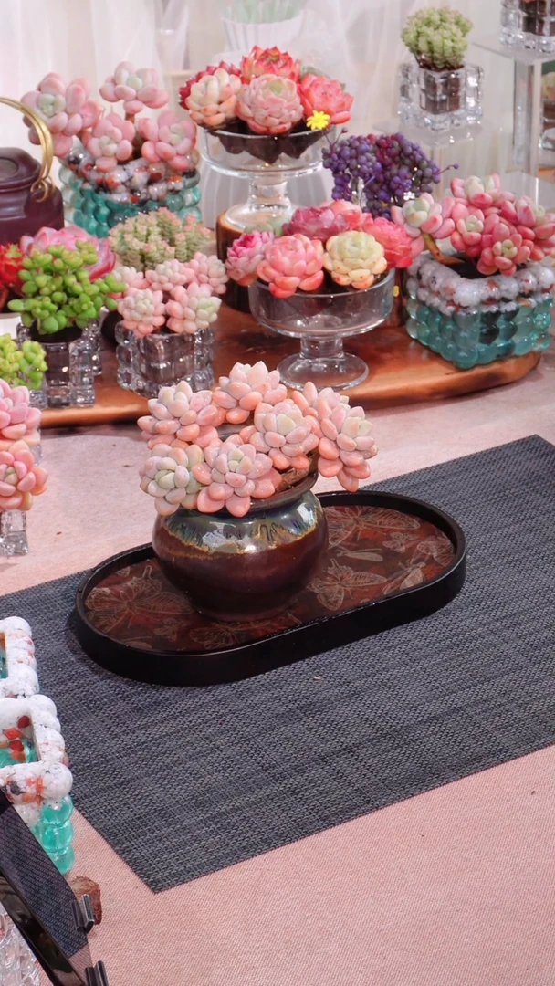 【闪购商品】大无土糖果洛神群Z336奶罐颜色不指定