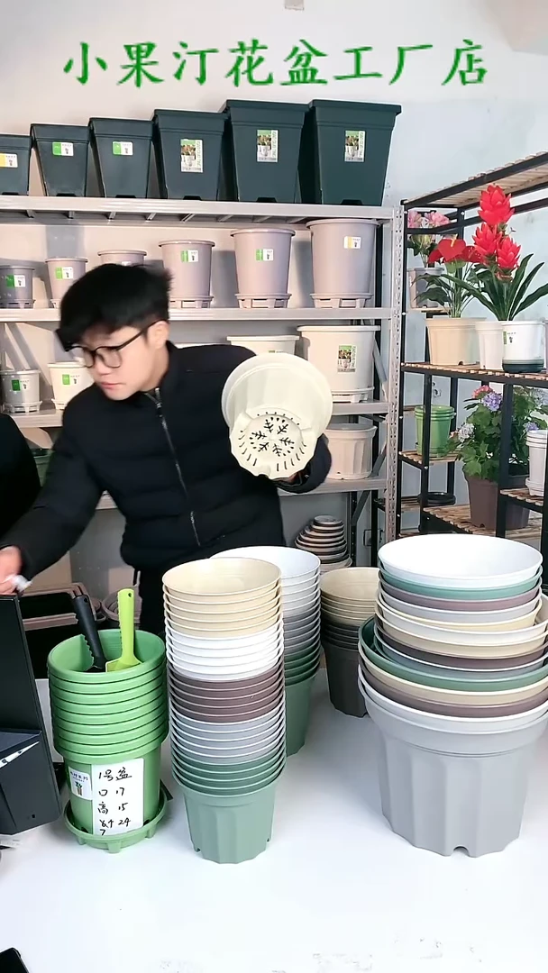 【闪购商品】塑料蕨草绿17+21带底*5共10套