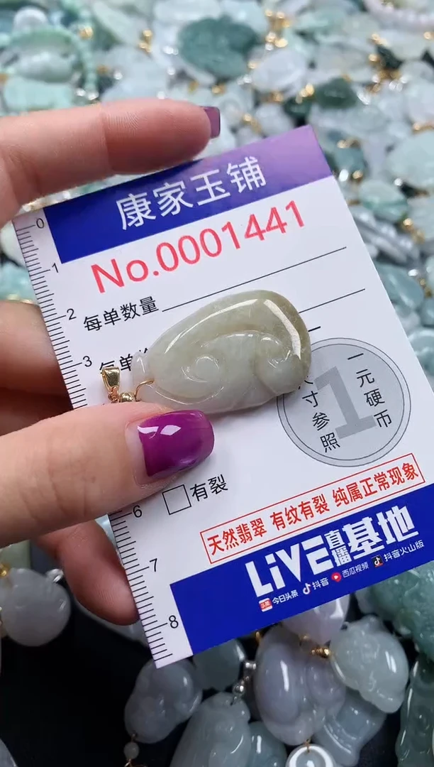 颈饰未镶嵌翡翠1441