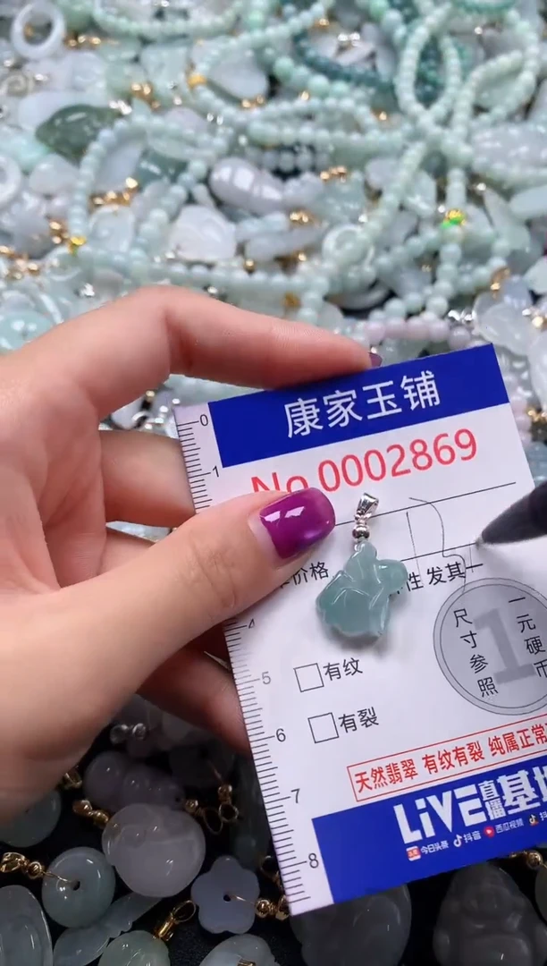 颈饰未镶嵌翡翠2869