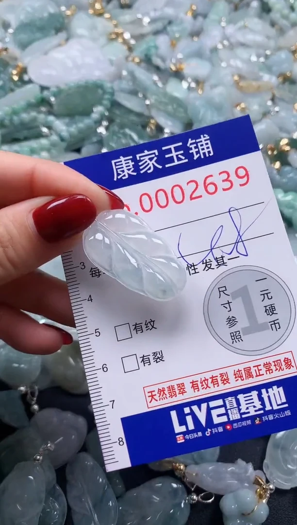 颈饰未镶嵌翡翠2639