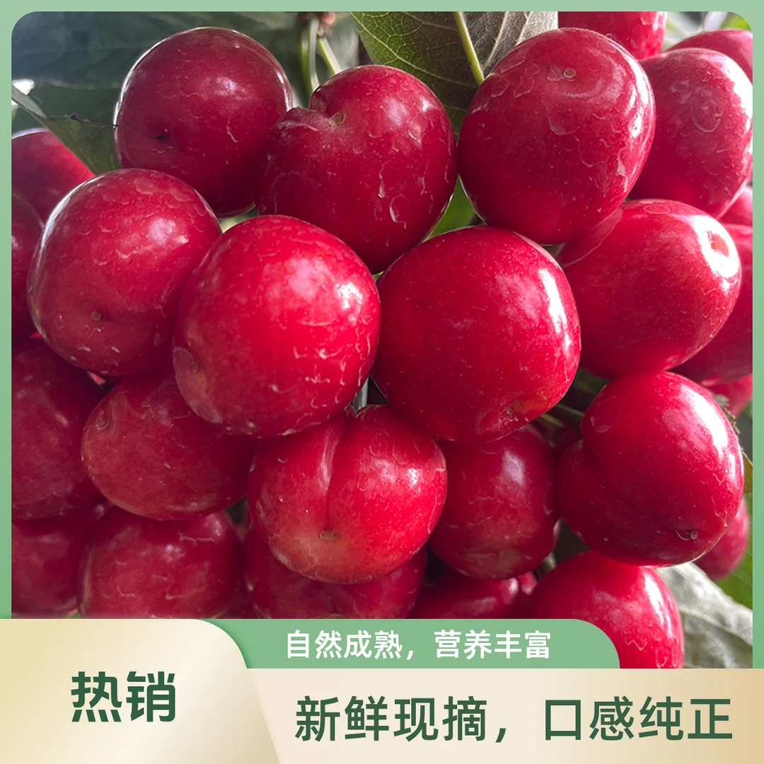 2J大果专拍【京东次日达】山东美早大樱桃产地直发|2J|1Kg美早山东省