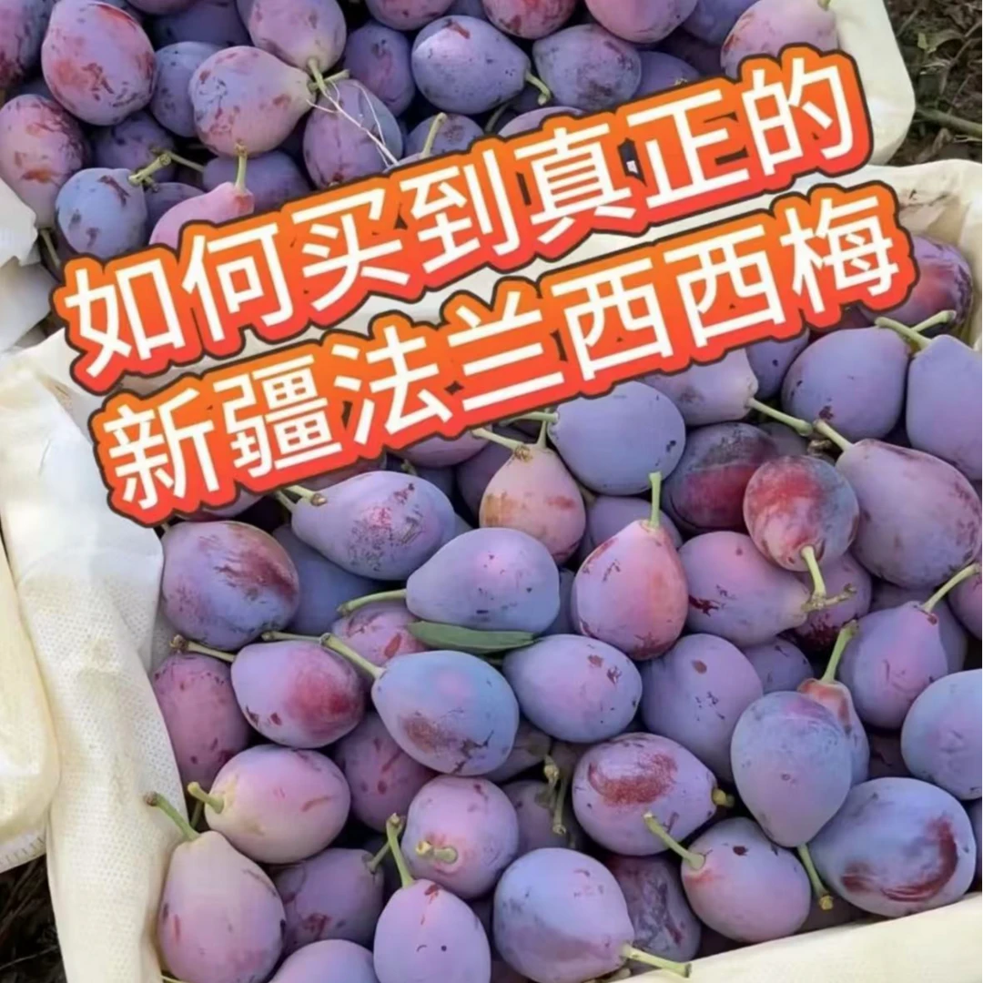 【正宗新疆法兰西西梅】F新鲜应季水果脆甜多汁【顺丰送货上门】