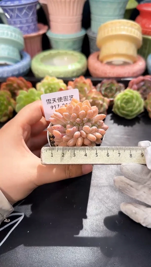 917-011雪天使缀（冠幅5cm）