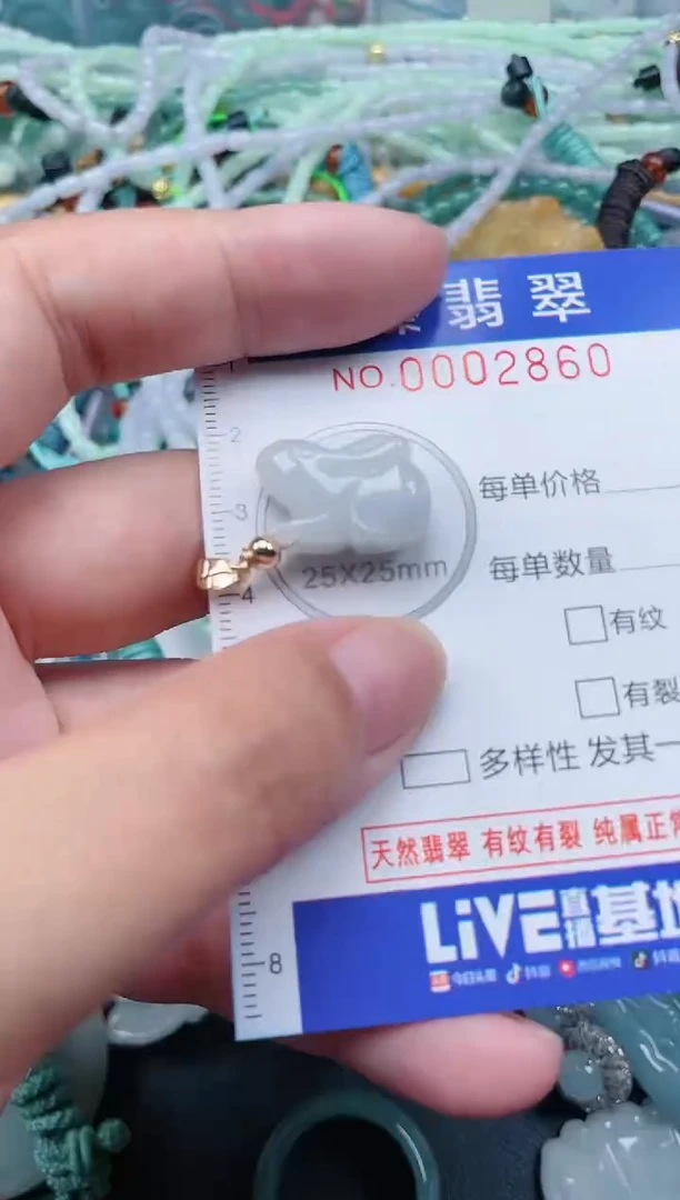 翡翠未镶嵌颈饰.0002860