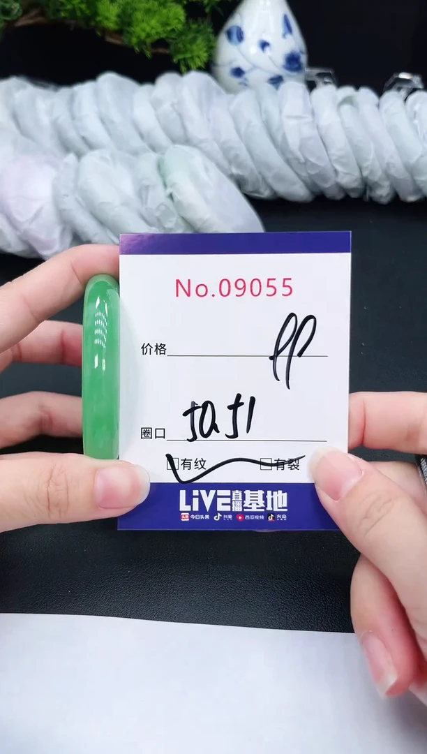 未镶嵌手镯翡翠9055