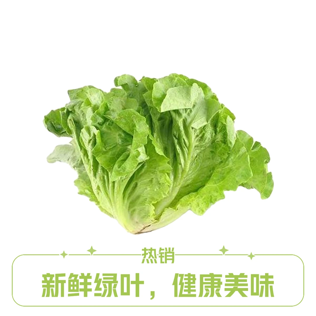 生菜 | 约500g生菜