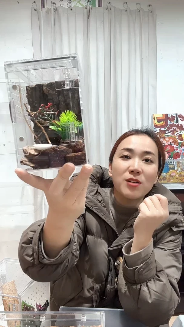 竖款中号10*10*15+天然树到+松树皮垫材+仿真绿植+水盆+树枝