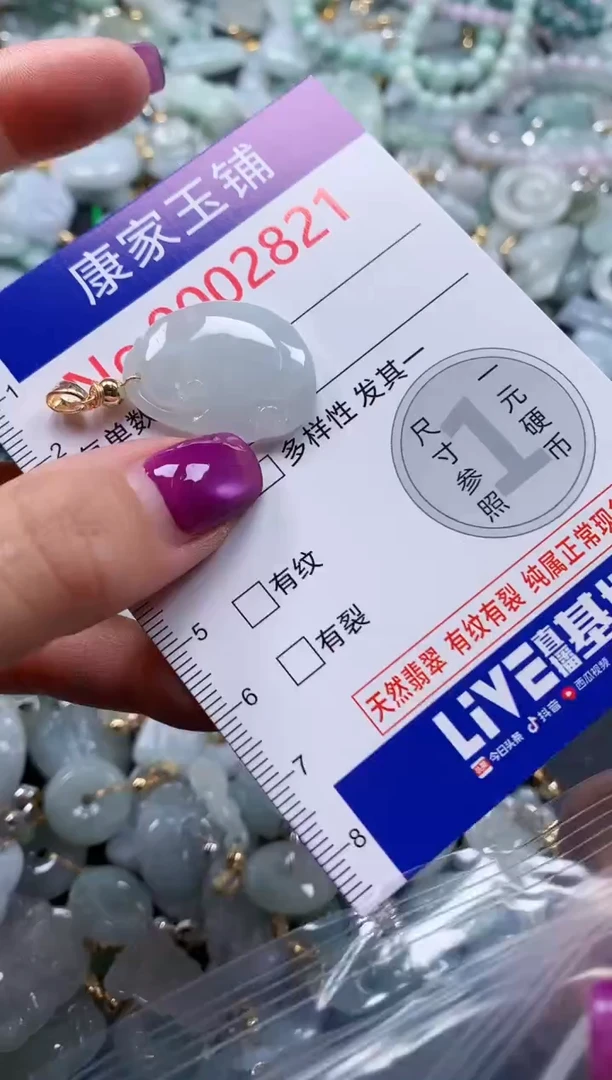 颈饰未镶嵌翡翠2821