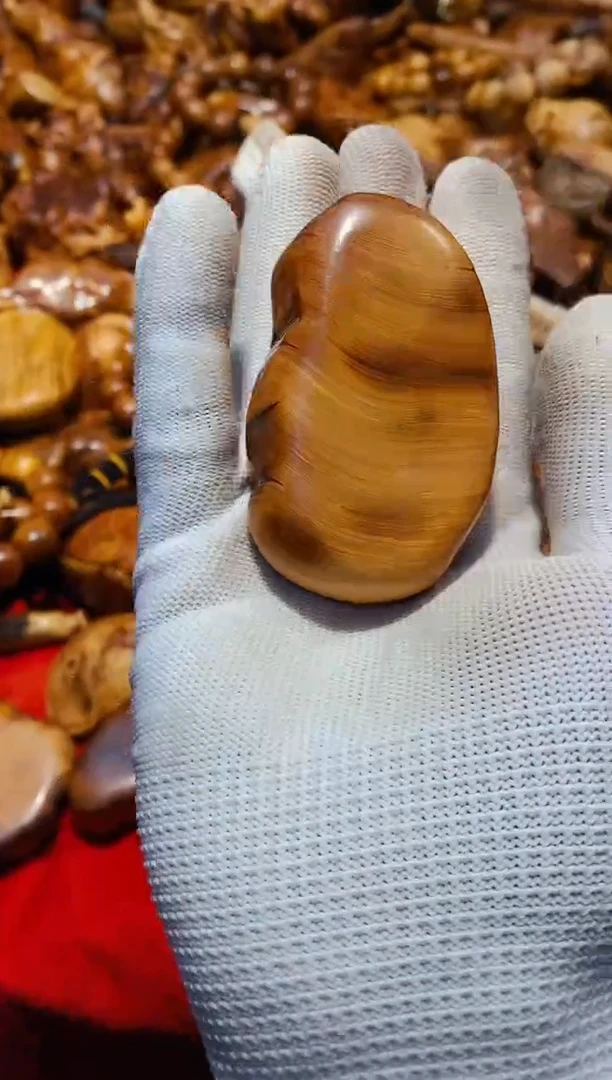 【闪购商品】柏木61崖柏崖柏崖柏崖柏崖柏