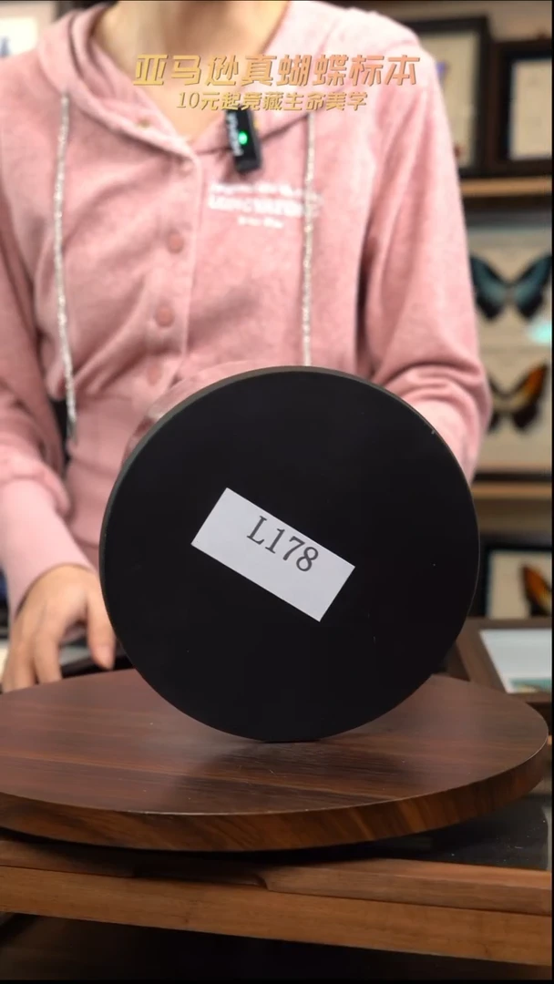 动物标本摆件竞拍l178