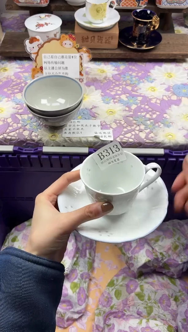 瓷片拾*                B313