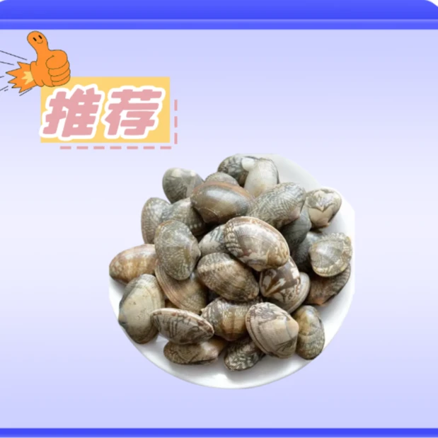 花蛤约250g