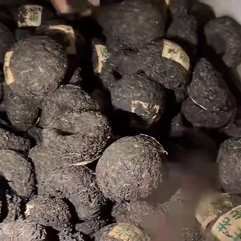 【111】90年代黎明星火茶厂 老生茶