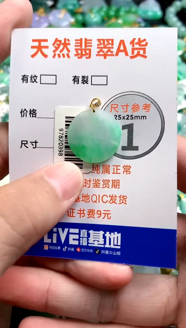 颈饰未镶嵌翡翠0986302911