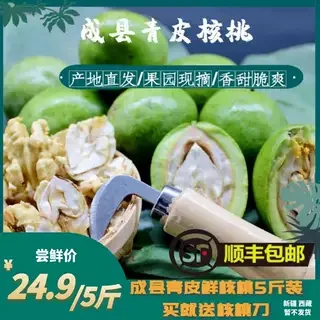 2025年中国核桃之乡陇南成县新鲜青皮湿核桃5斤装果园直发