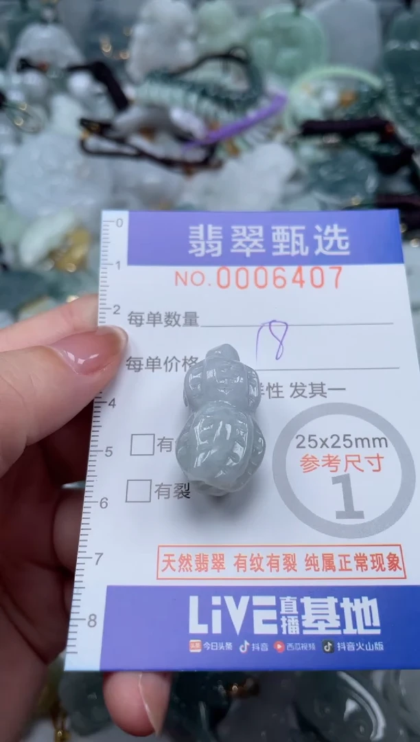 翡翠未镶嵌颈饰00..6407