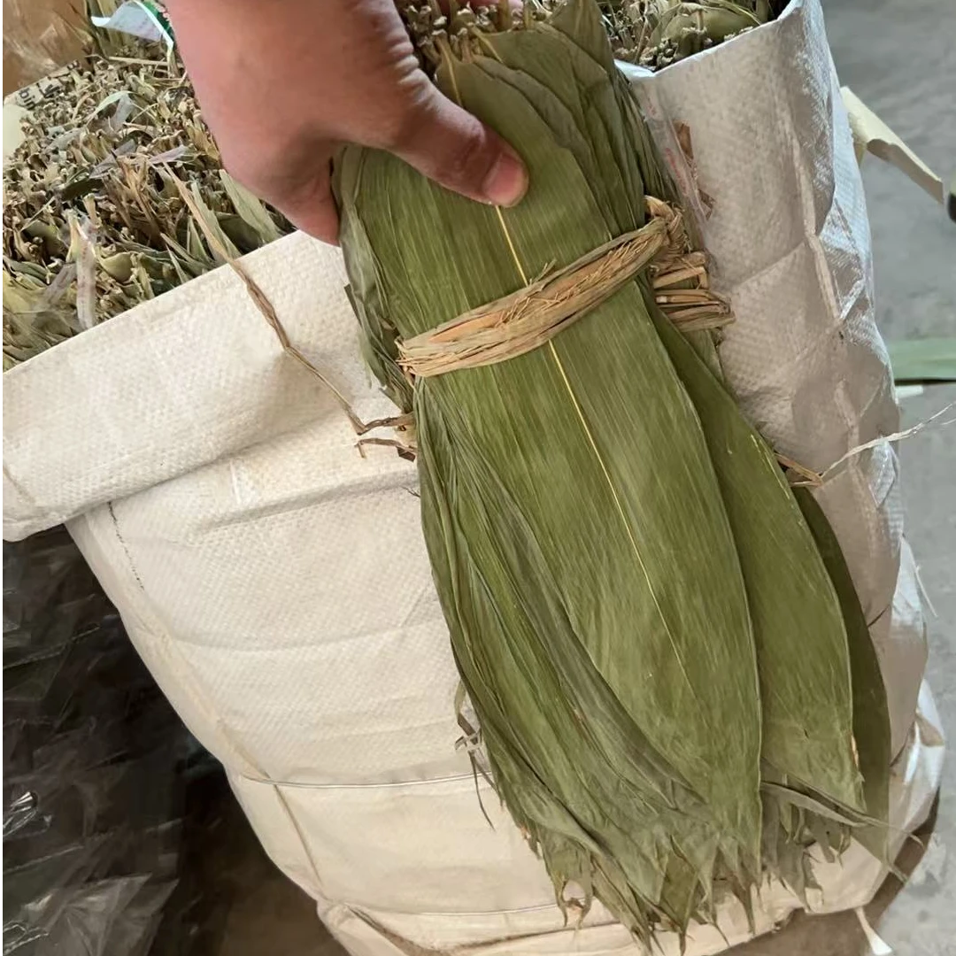粽子叶粽叶新鲜麻叶端午节包粽子大叶子免邮