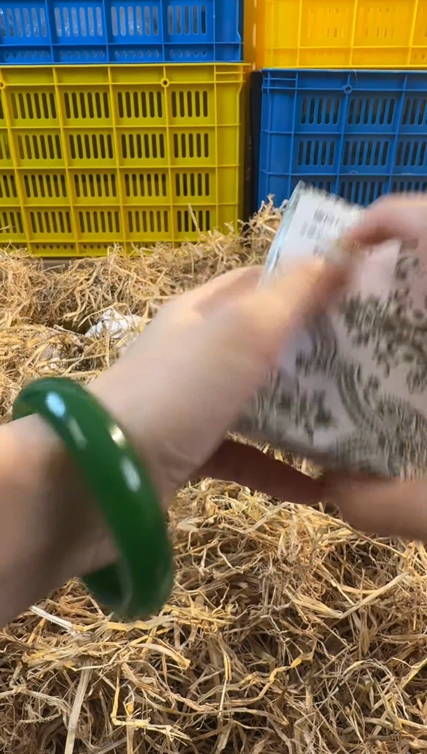 未镶嵌手镯石英质玉8009