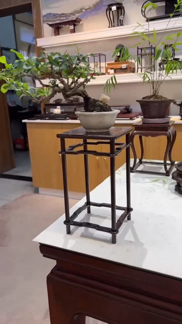 1紫砂紫砂紫砂紫砂紫砂