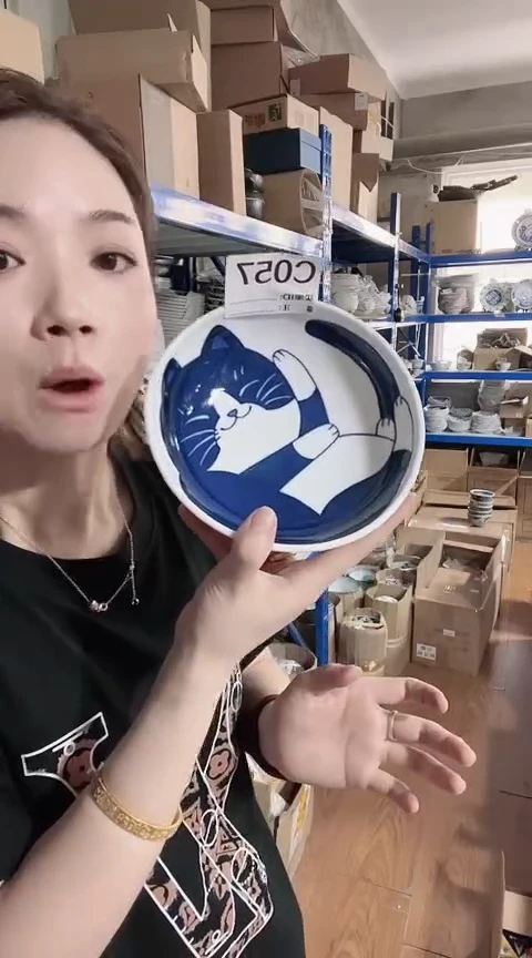 瓷片全新高端瓷器黑白猫咪16cm钵一只C057