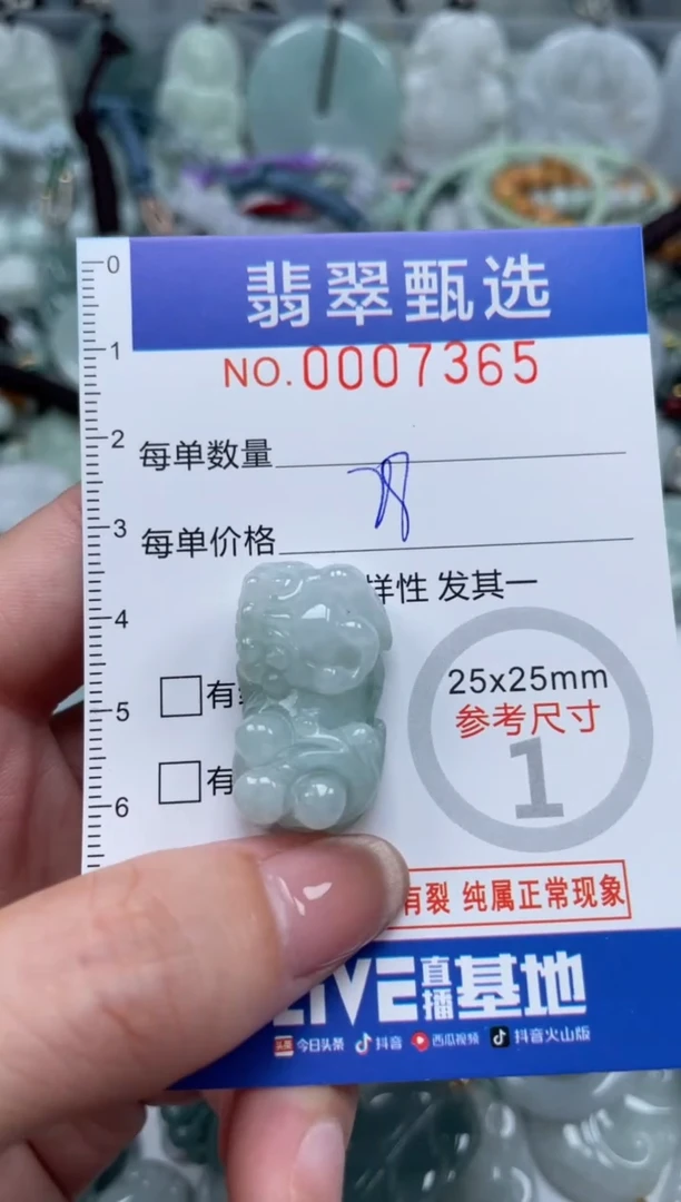 翡翠未镶嵌颈饰00..7365