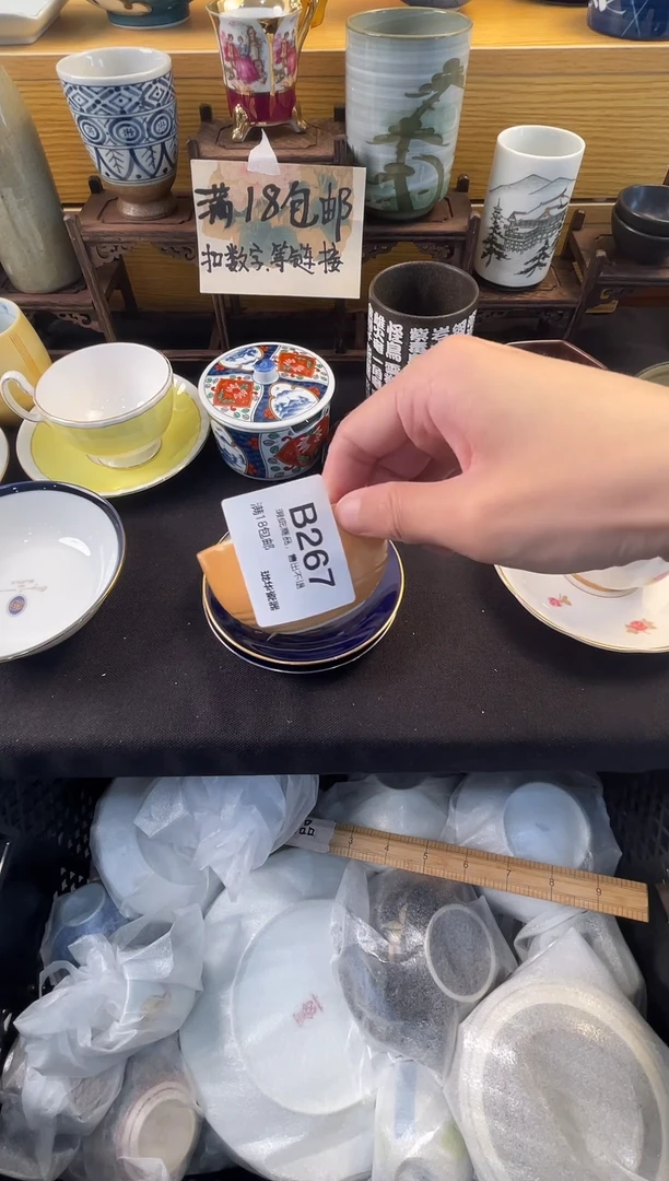 瓷器 闪购类型 定向 绿萝