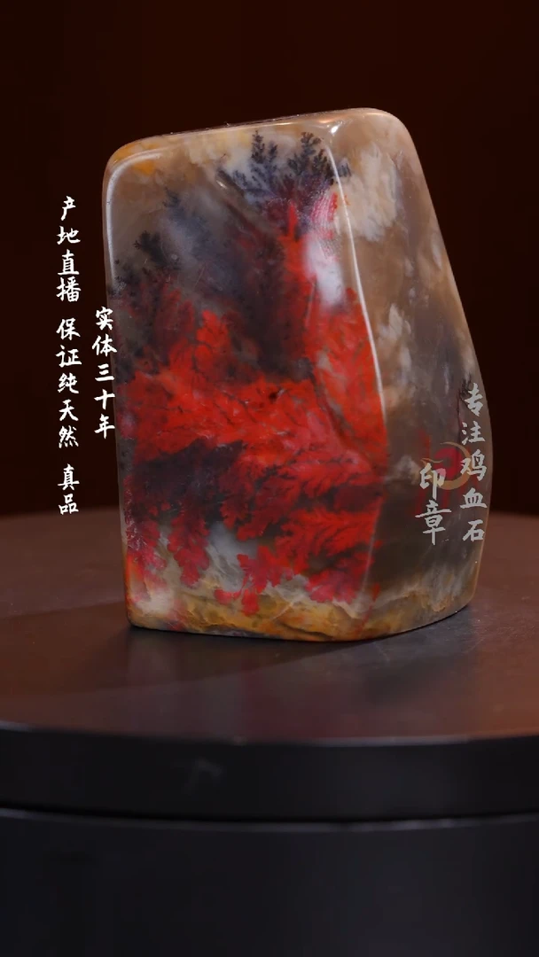 鸡血石水草鸡血石