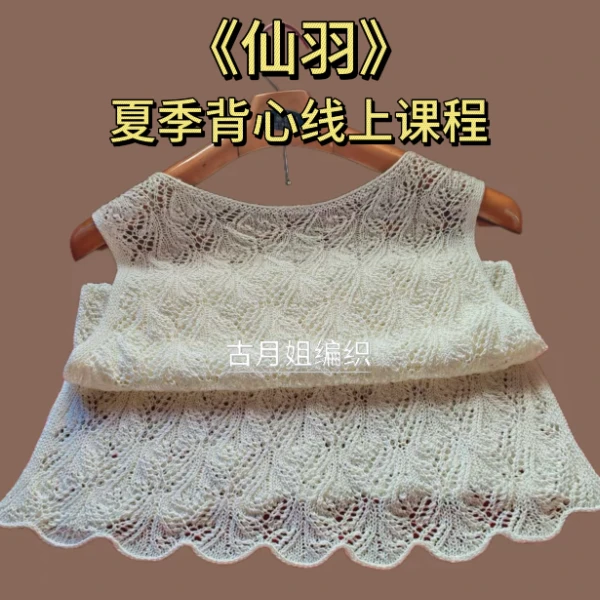 仙羽背心针织线上视频课程