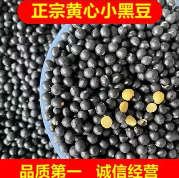 徐主任助农东北黑龙江2025新黄芯小黑豆五谷杂粮打豆浆非转基因