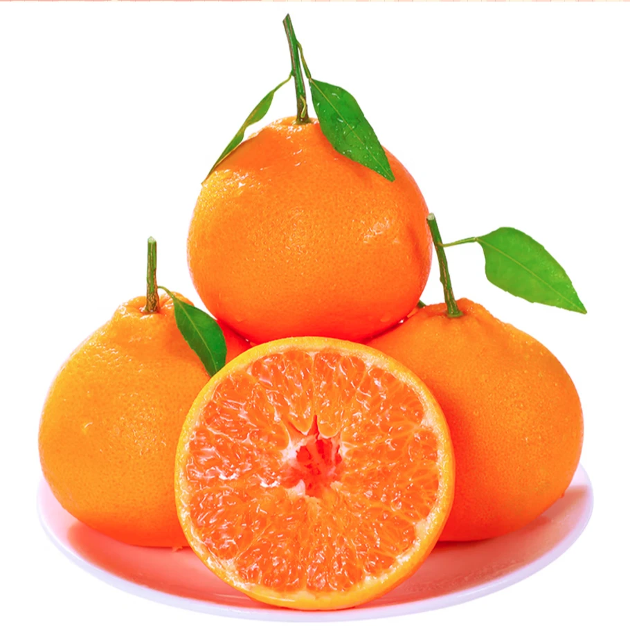 【摩派鲜果】春见耙耙柑500g四川省