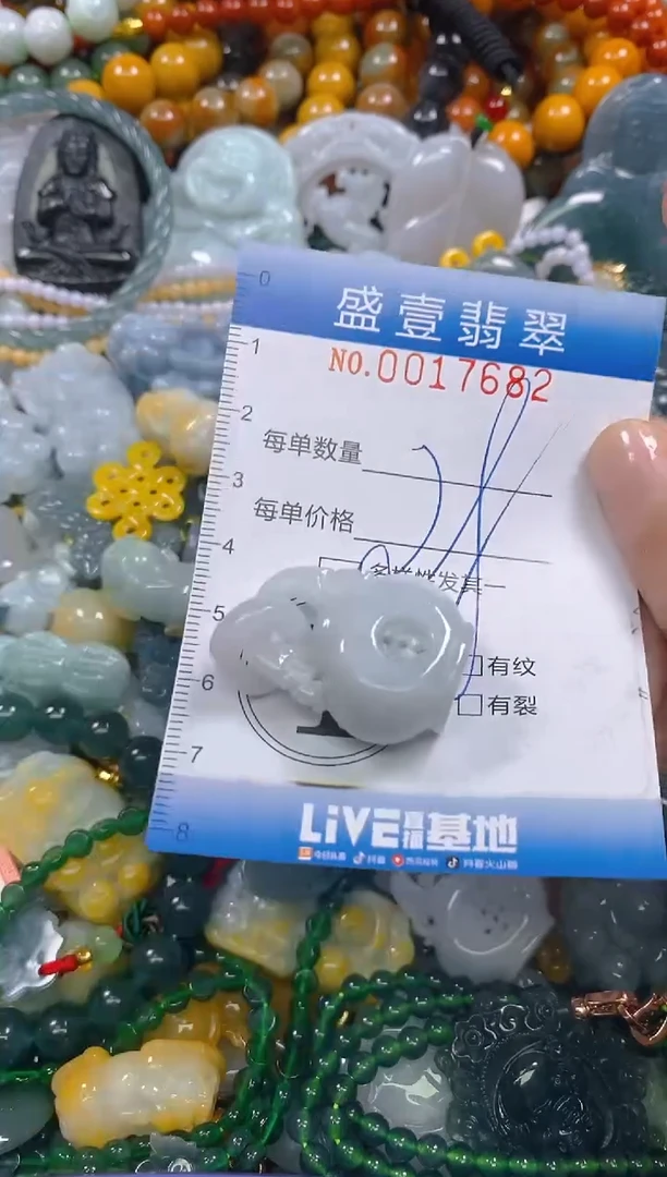 颈饰未镶嵌翡翠闪购0017682