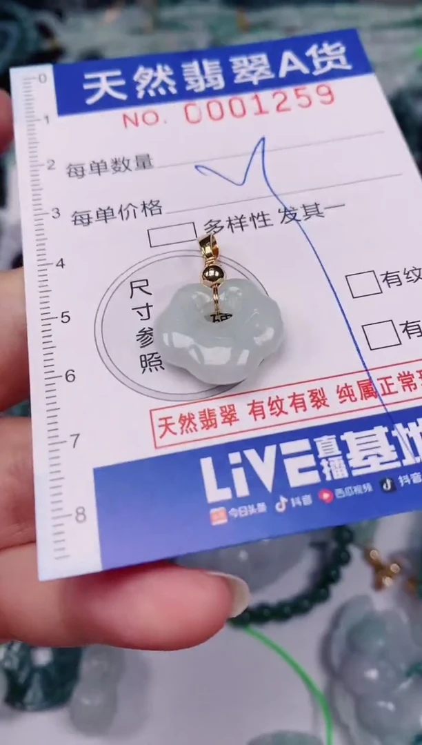 颈饰未镶嵌翡翠00001259