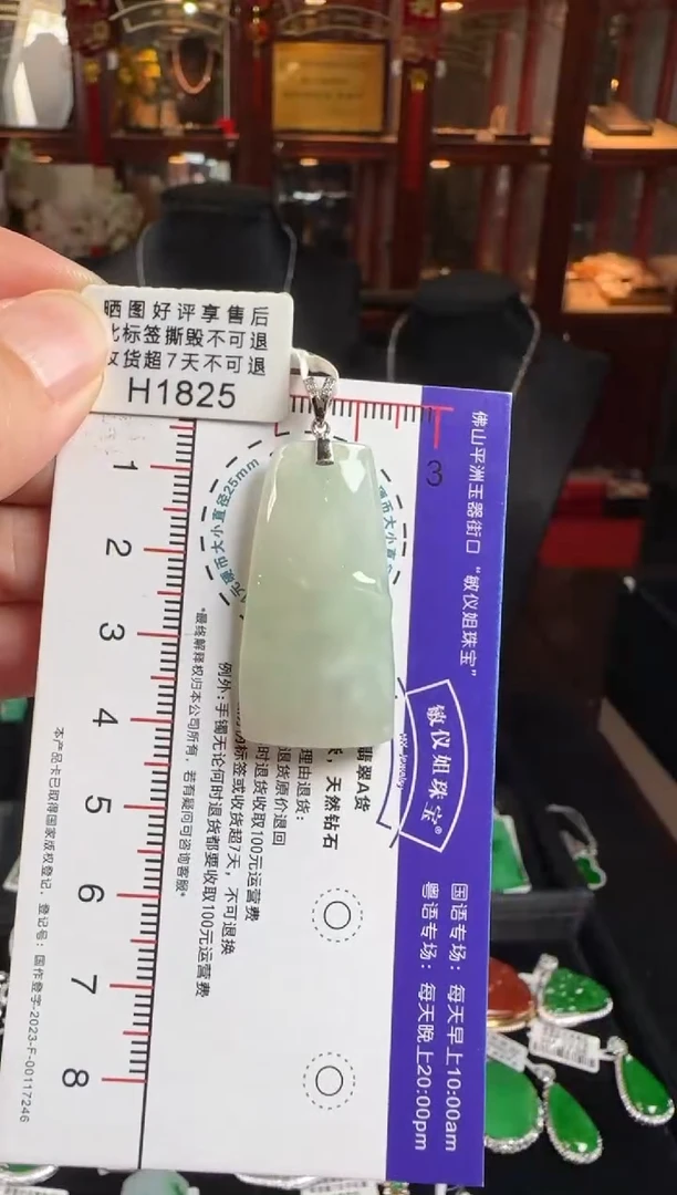 颈饰未镶嵌翡翠H1825竹报平安