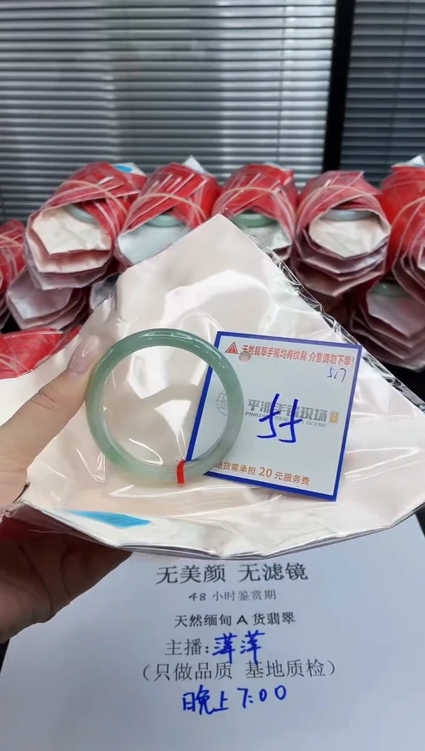 未镶嵌手镯翡翠11111