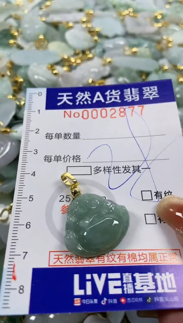 颈饰未镶嵌翡翠天然A货翡翠