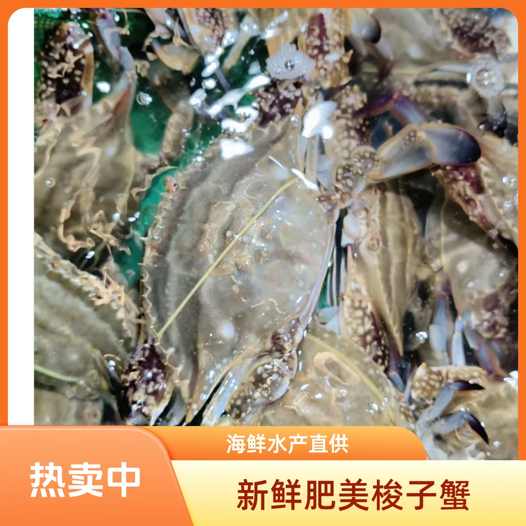 鲜活发货/【保鲜不保活】/舟山/中国/海蟹（梭子蟹) 3斤装/2-4两左右/6-15只左右