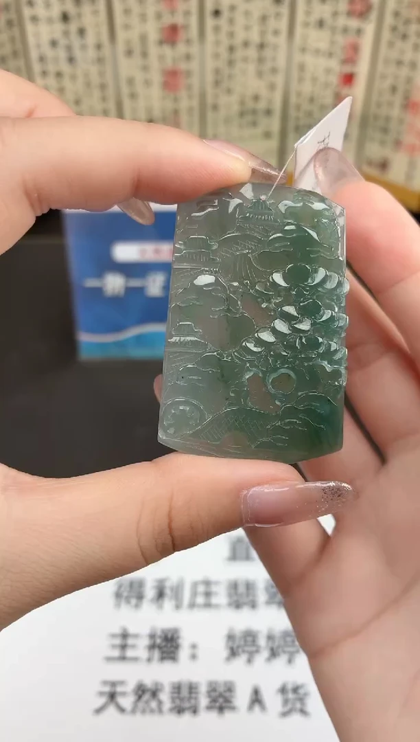 颈饰未镶嵌翡翠DLZ25110385