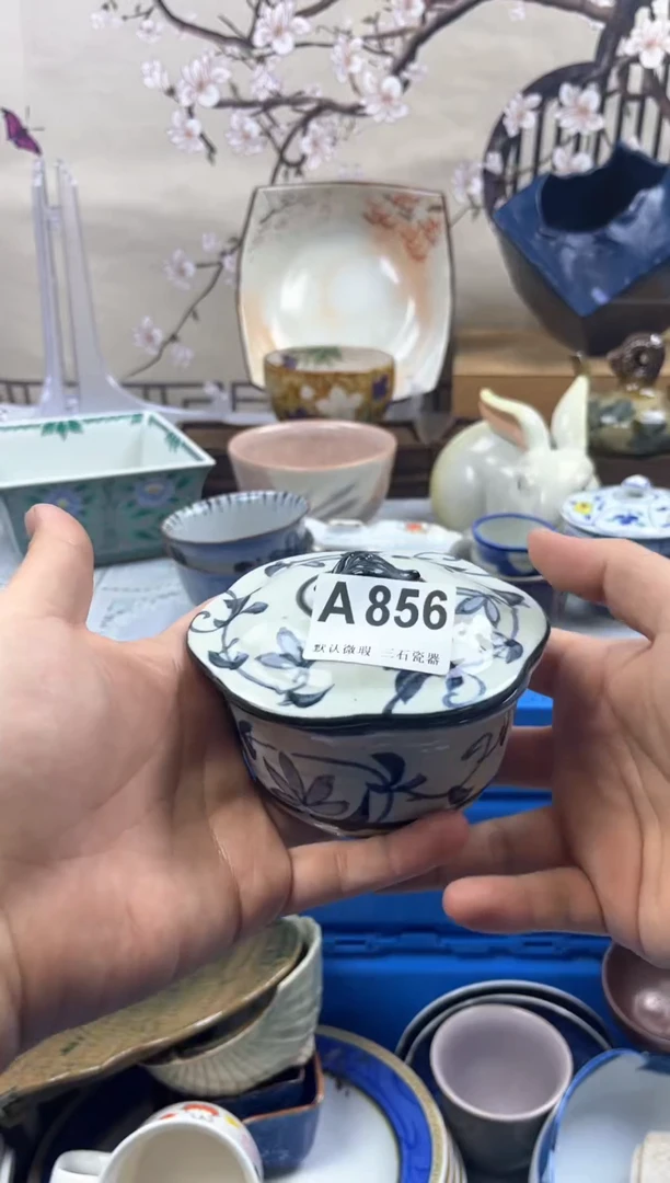 【闪购商品】1瓷片 默认微瑕介意勿拍A856