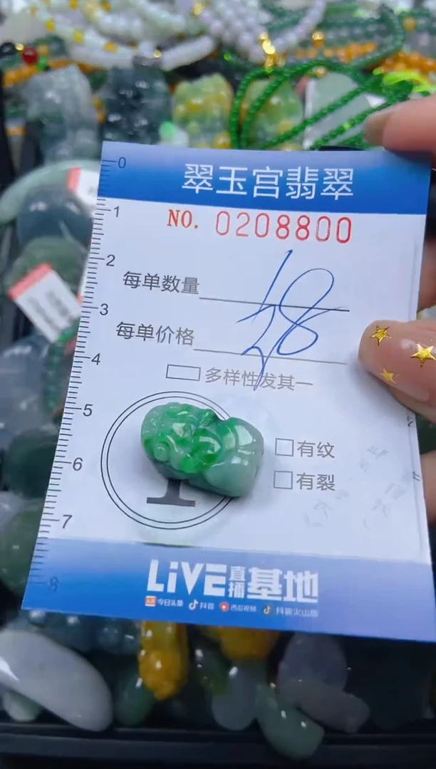 颈饰未镶嵌翡翠闪购C0208800