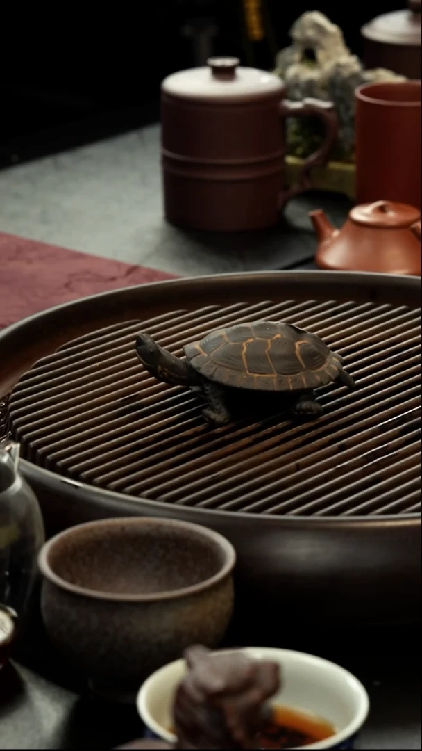 茶壶紫砂紫砂 乌龟  茶宠