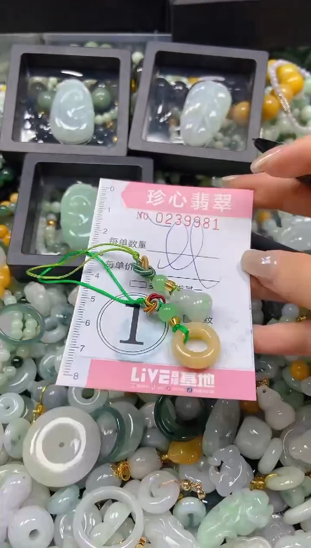 翡翠未镶嵌颈饰闪购0239981