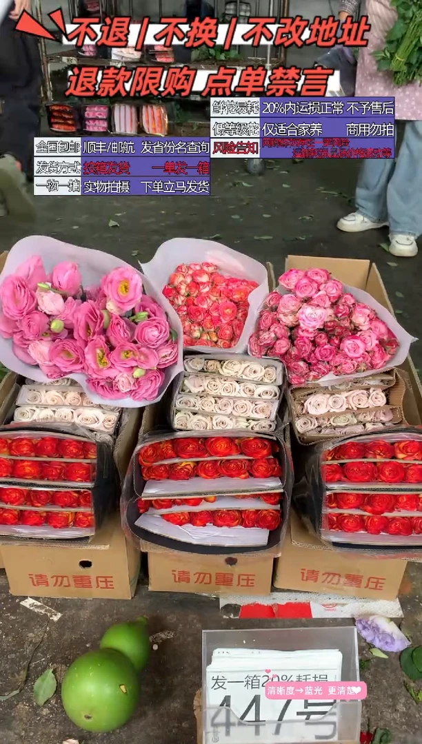 447号♥含20%耗损发一箱